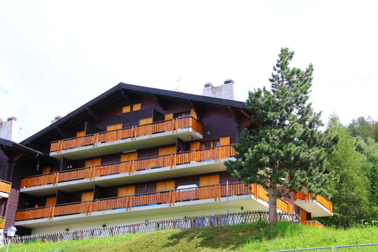 Mayens De L'Ours Mountain & Center Apartments By Alpvision Residences Agettes Kültér fotó