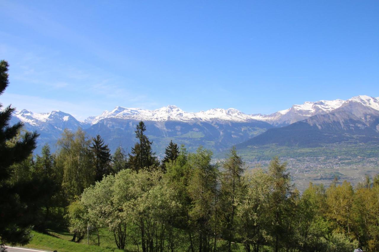 Mayens De L'Ours Mountain & Center Apartments By Alpvision Residences Agettes Kültér fotó